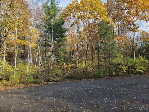 Photo of Birch Lane, Clayton, NY 13624 (MLS # S1654543)