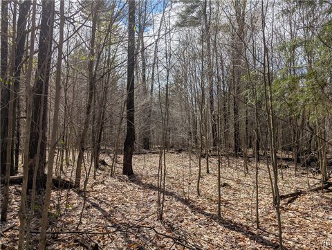 7418 Pennysettlement Road Port Leyden NY 13433