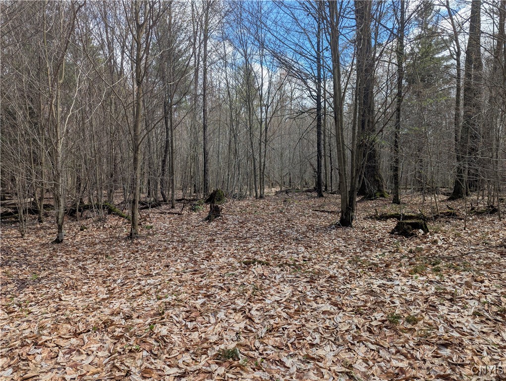 7418 Pennysettlement Road