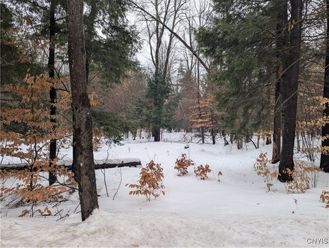 7418 Pennysettlement Road Port Leyden NY 13433