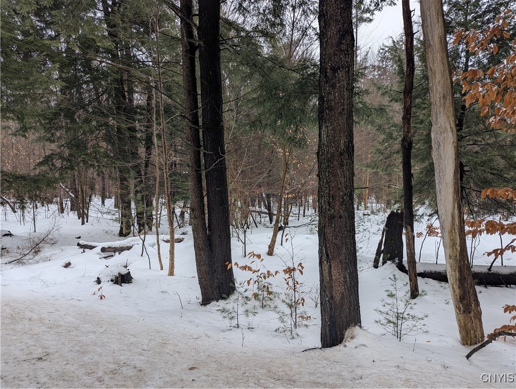 7418 Pennysettlement Road