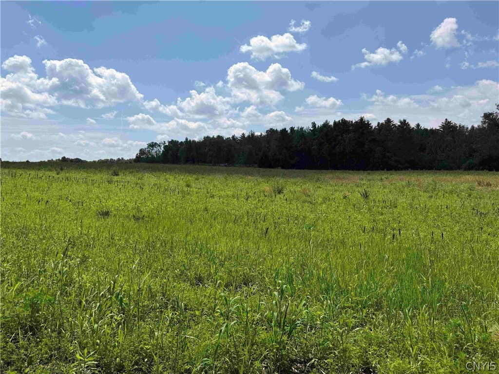 Photo of Cr-17, Belfast, NY 14711 (MLS # S1701506)