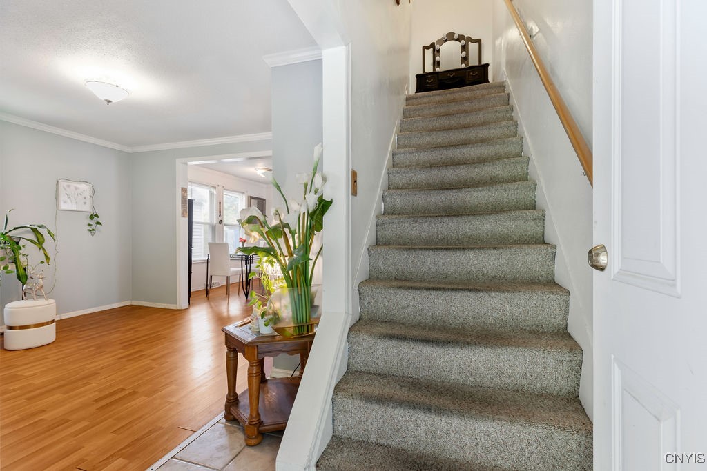 224 Woods Road