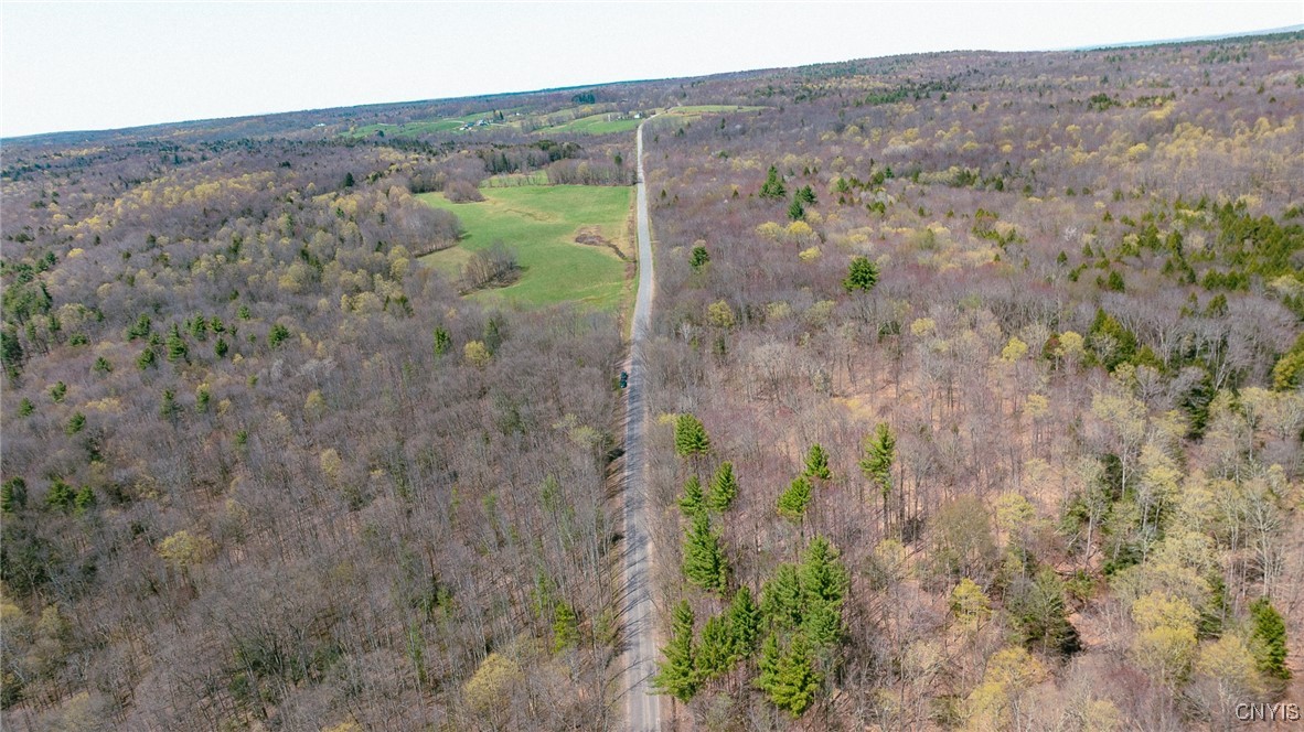 15 Acres Van Buren Road, Camden, New York image 2