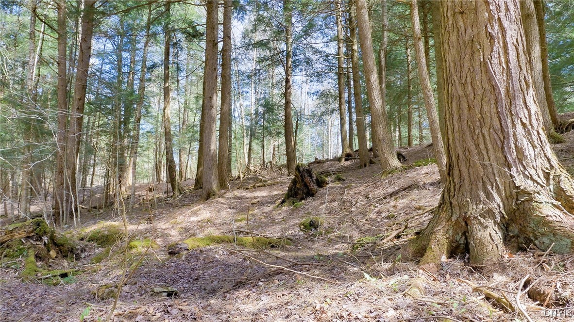 15 Acres Van Buren Road, Camden, New York image 4
