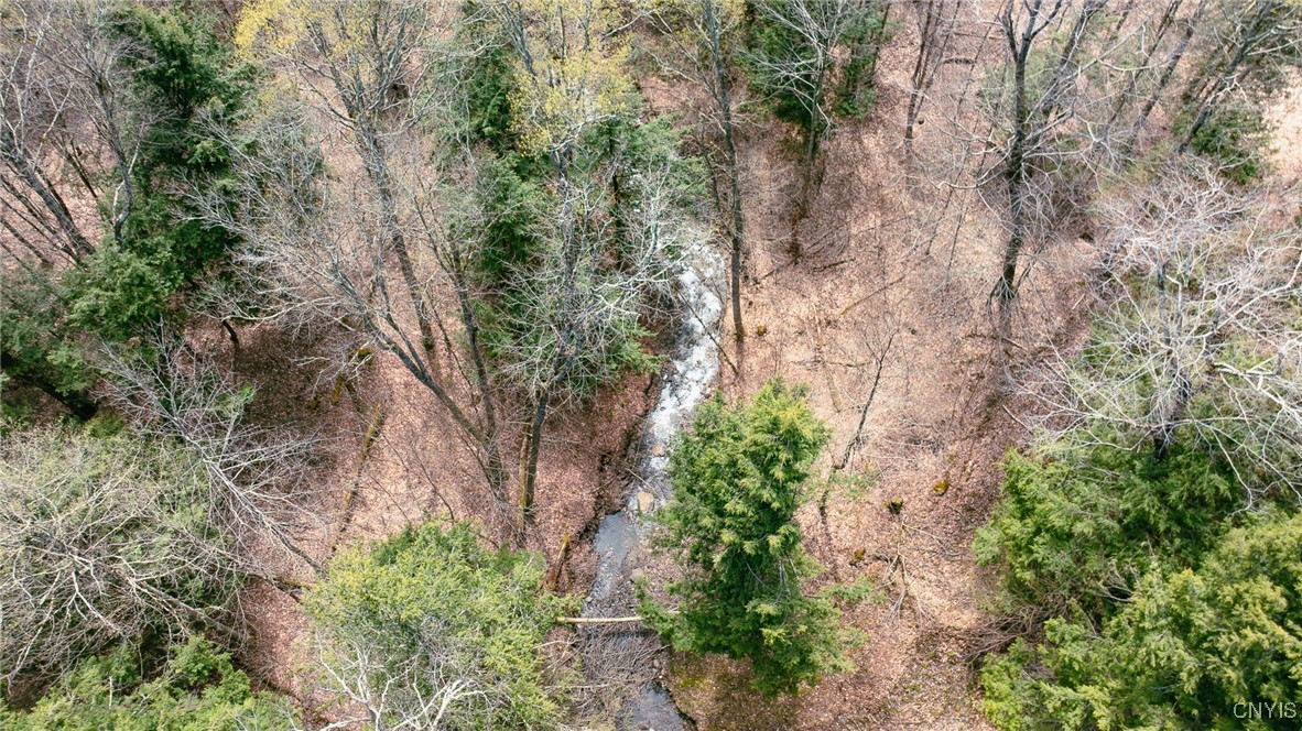 15 Acres Van Buren Road, Camden, New York image 3