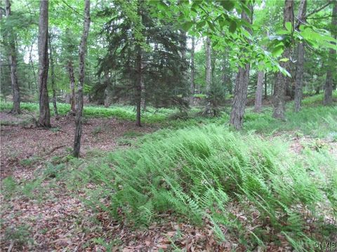 Tamarack Drive Old Forge NY 13420