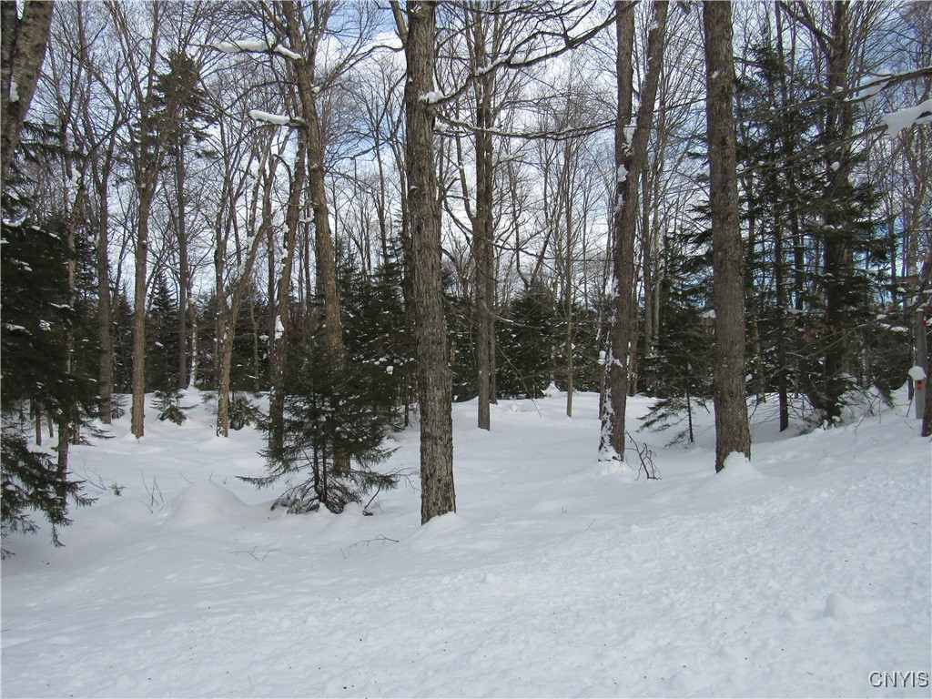 Tamarack Drive
