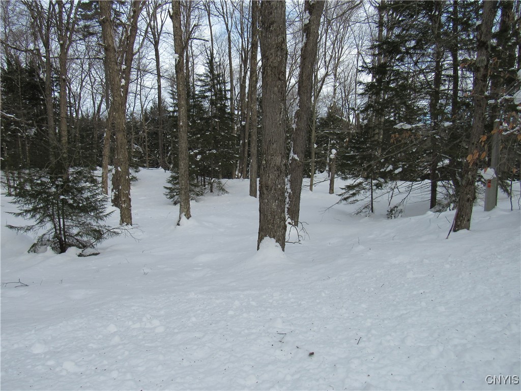 Tamarack Drive