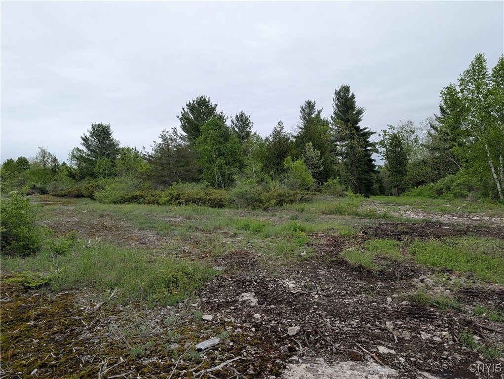 16744 Lot #2D Thompson Trail Drive, Brownville, New York image 20