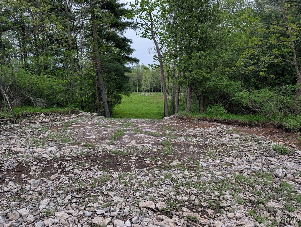 16744 Lot #2D Thompson Trail Drive, Brownville, New York image 16