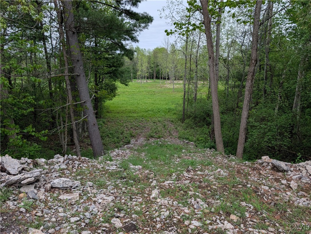16744 Lot #2D Thompson Trail Drive, Brownville, New York image 15