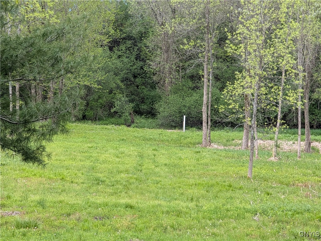 16744 Lot #2D Thompson Trail Drive, Brownville, New York image 12