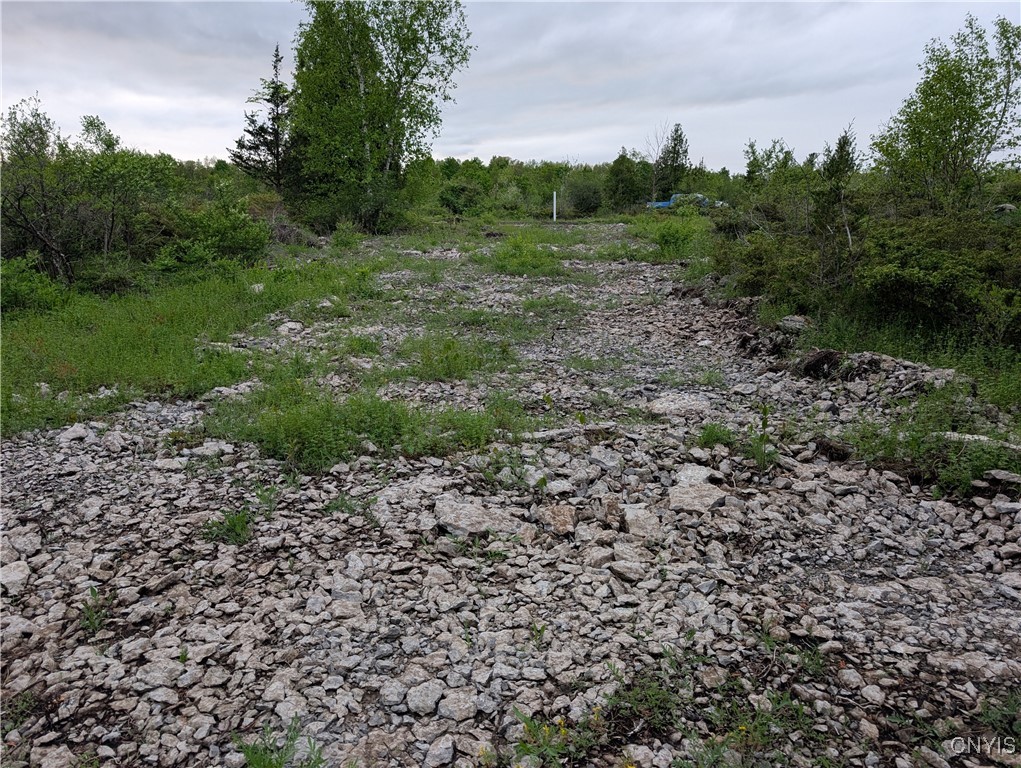 16744 Lot #2D Thompson Trail Drive, Brownville, New York image 17