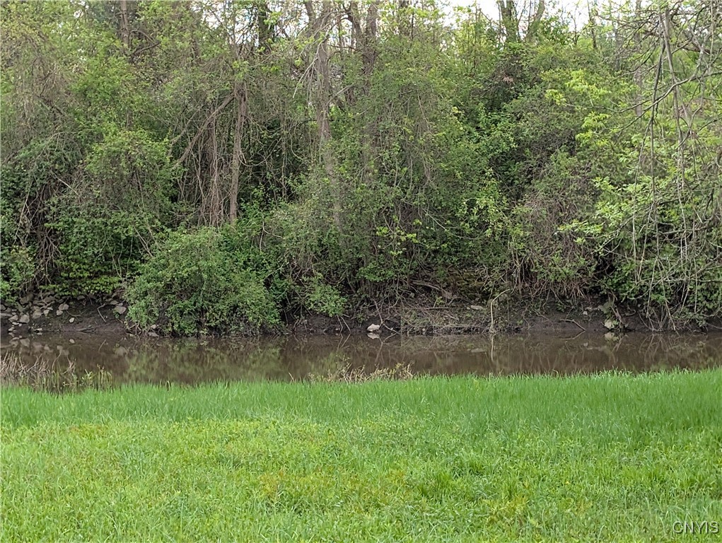 16744 Lot #2D Thompson Trail Drive, Brownville, New York image 3