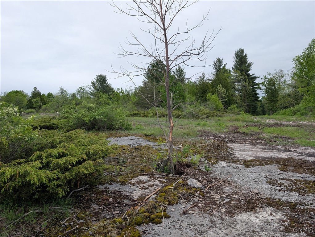 16744 Lot #2D Thompson Trail Drive, Brownville, New York image 21