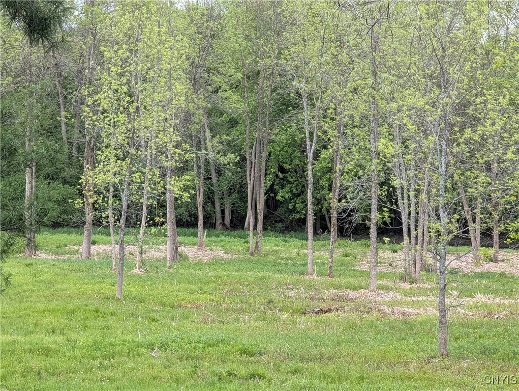 16744 Lot #2D Thompson Trail Drive, Brownville, New York image 1