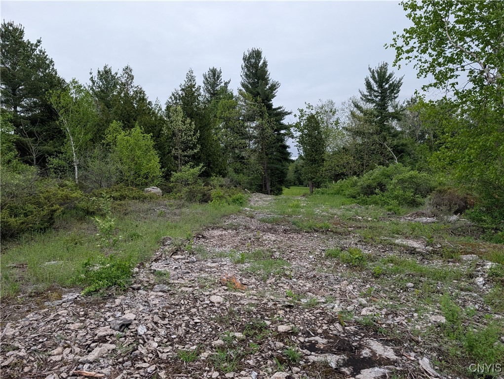 16744 Lot #2D Thompson Trail Drive, Brownville, New York image 19