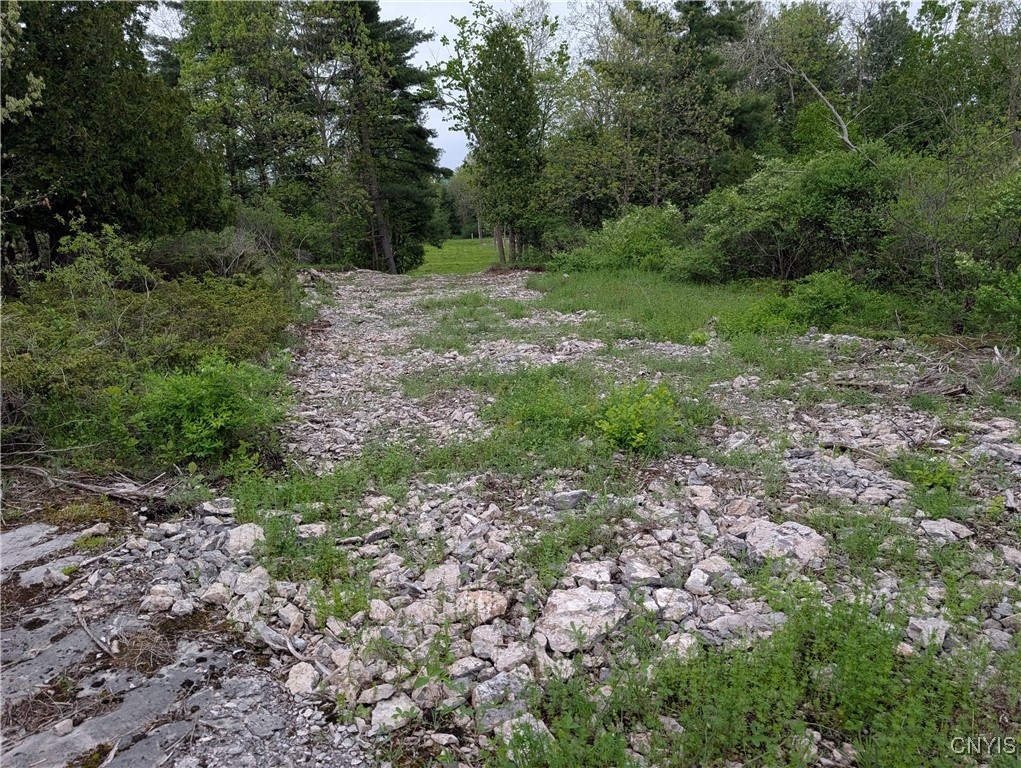 16744 Lot #2D Thompson Trail Drive, Brownville, New York image 18