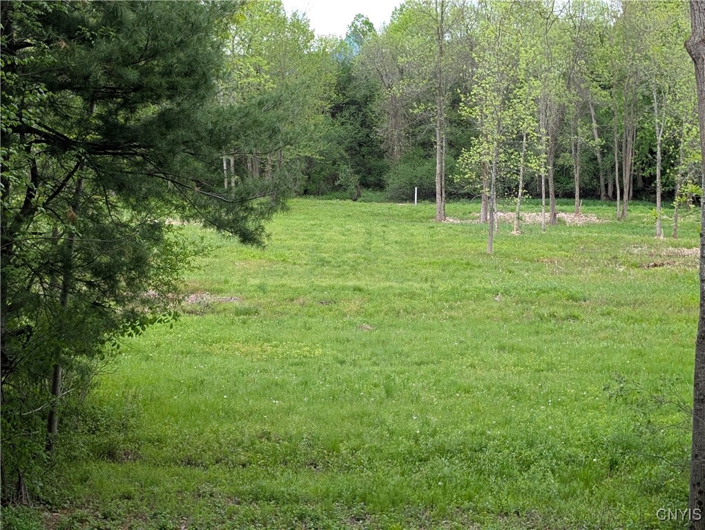 16744 Lot #2D Thompson Trail Drive, Brownville, New York image 2