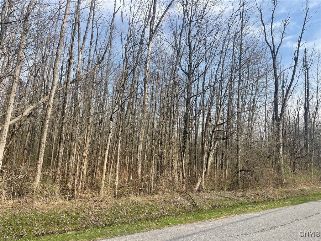 Lewis Point Road