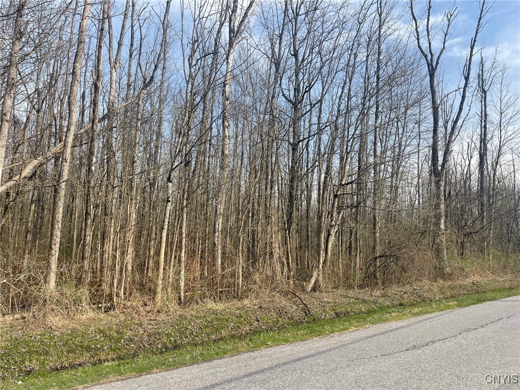 Lewis Point Road