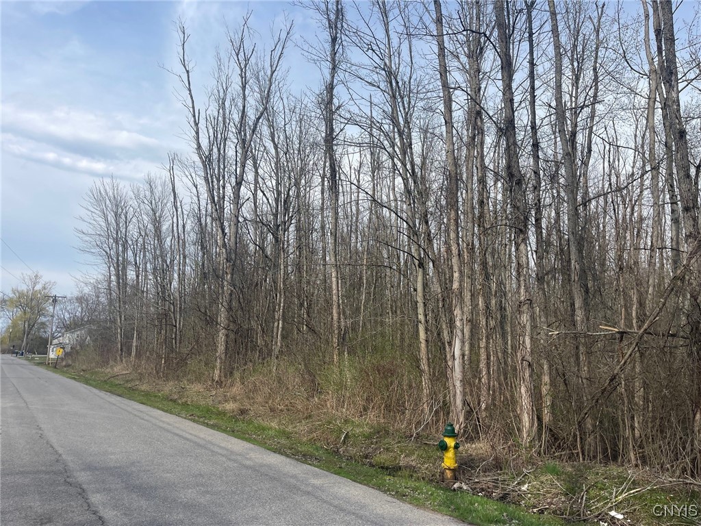 Lewis Point Road
