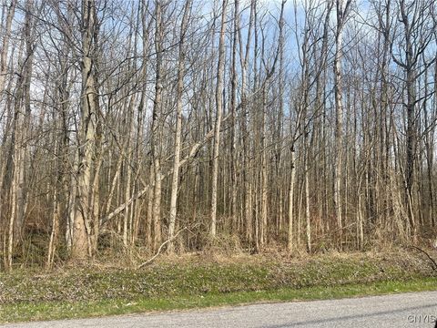 Lewis Point Road Canastota NY 13032