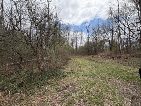 Vacant Land For Sale - Peck Hill Road<br/> Manlius, NY 13104