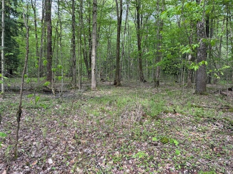 Vacant Land For Sale - Kellogg Hill Road<br/> Cattaraugus County, Leon, NY 14138