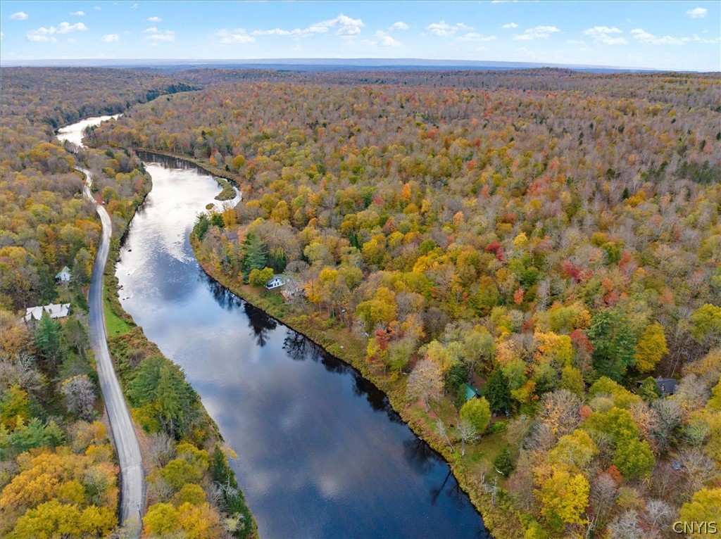 1118 Moose River Tract, Forestport, New York image 10