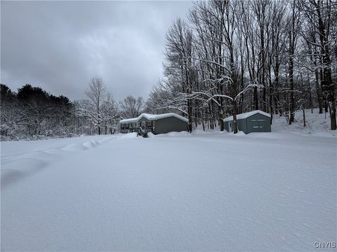 632 State Route 177 Copenhagen NY 13626