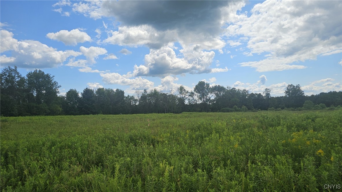 8083 Link Road