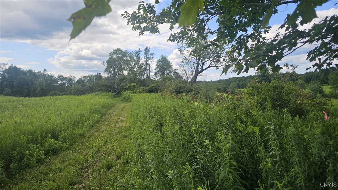 8083 Link Road
