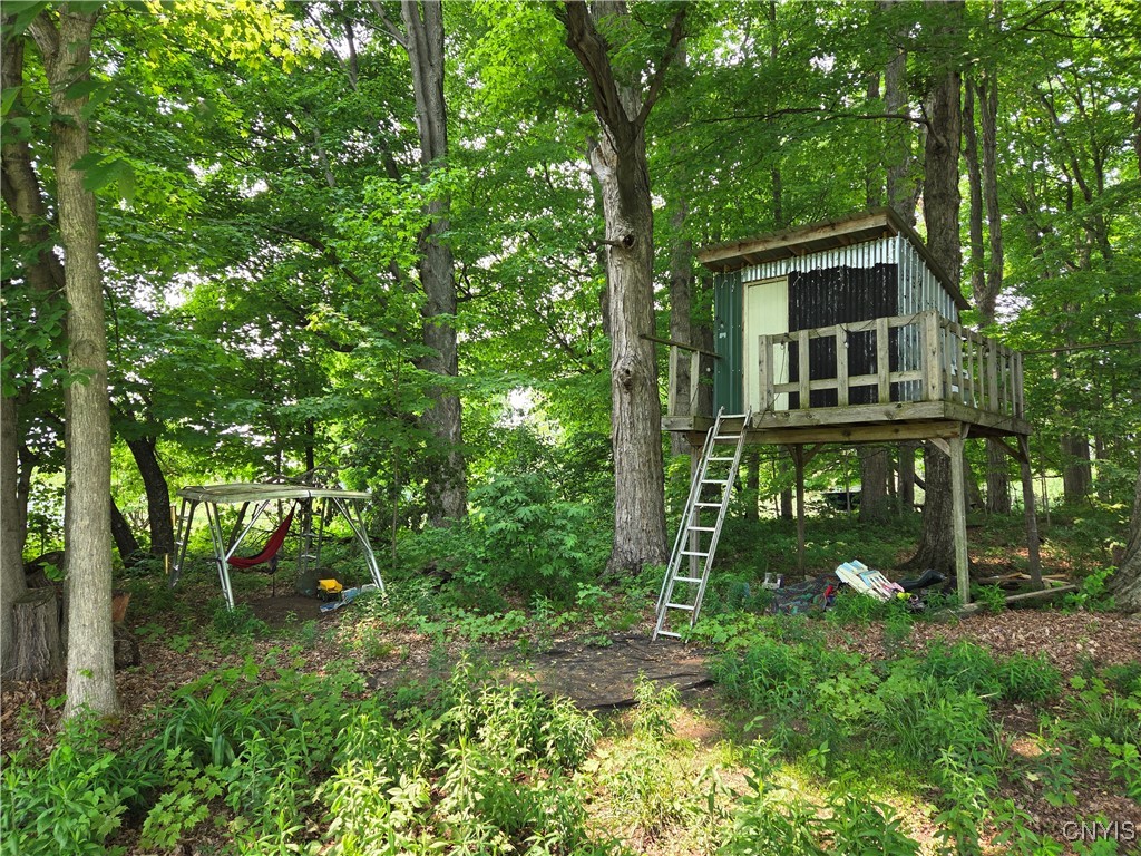 11311 S Landing Road, Ellisburg, New York image 36