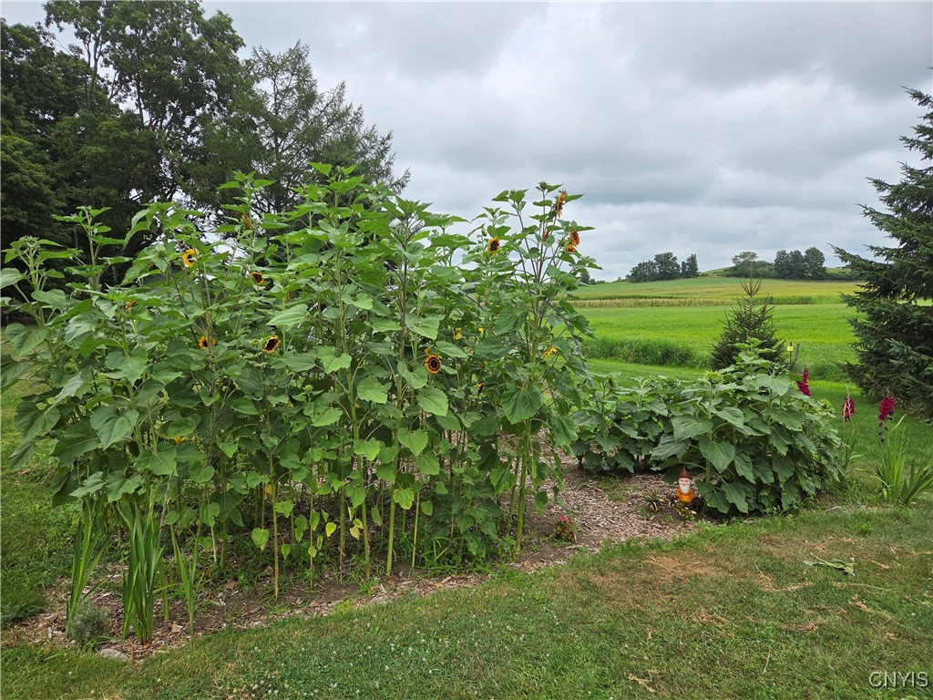 Ellisburg, New York 13661, United States, 3 Bedrooms Bedrooms, ,2 BathroomsBathrooms,Residential,Active,145583