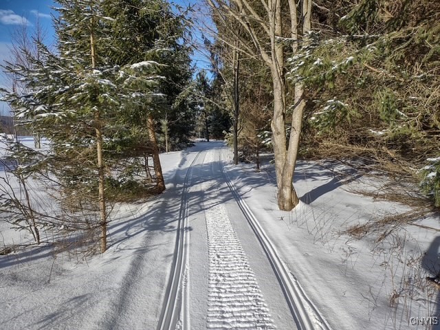 2220 Kypriotis Drive Extension