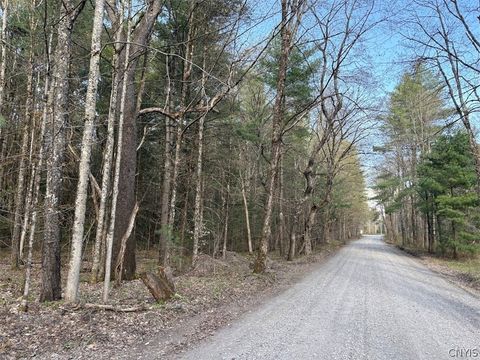 Photo of Stormy Hill Road, Russia, NY 13324 (MLS # S1679176)