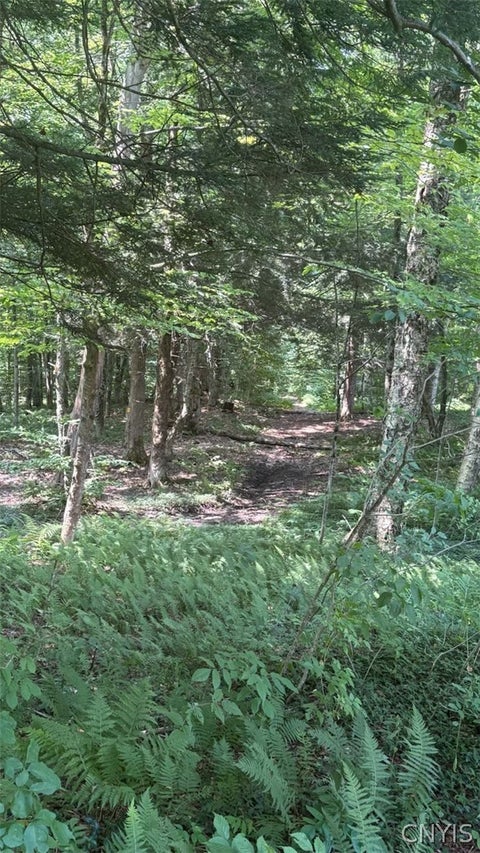 Tiny photo for 445 County Route 2, Redfield, NY 13437 (MLS # S1705979)