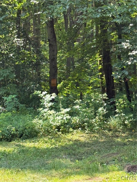 Tiny photo for 445 County Route 2, Redfield, NY 13437 (MLS # S1705979)