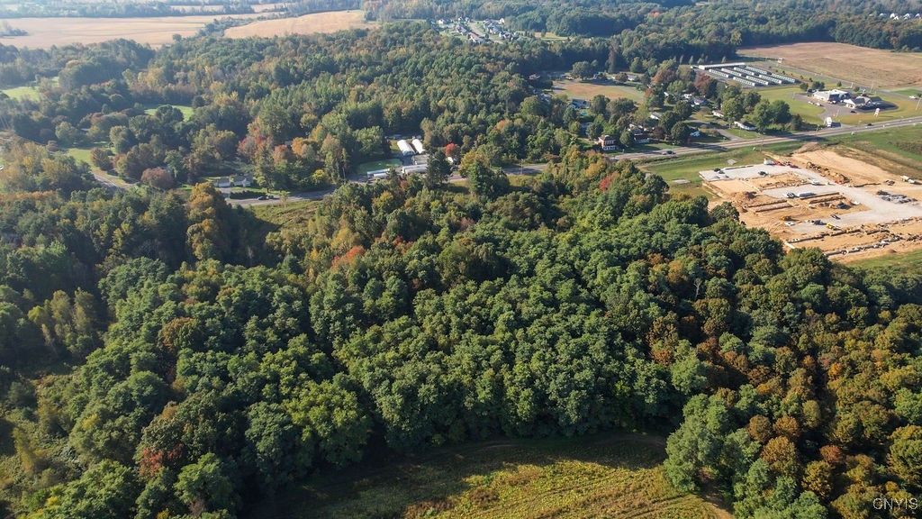 4647 State Route 31