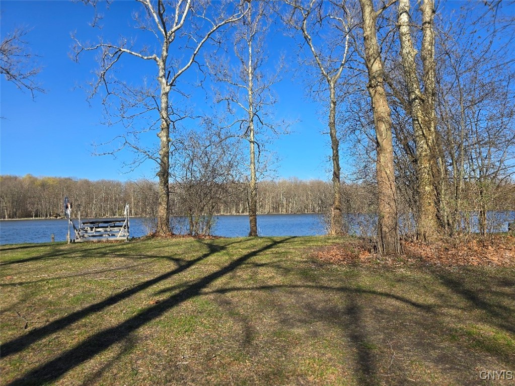 594 Wapoos Path, Elbridge, New York image 42