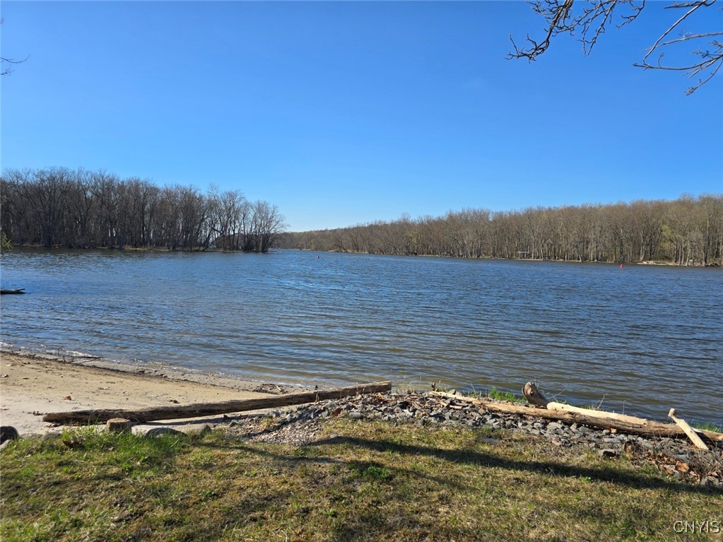 594 Wapoos Path, Elbridge, New York image 44