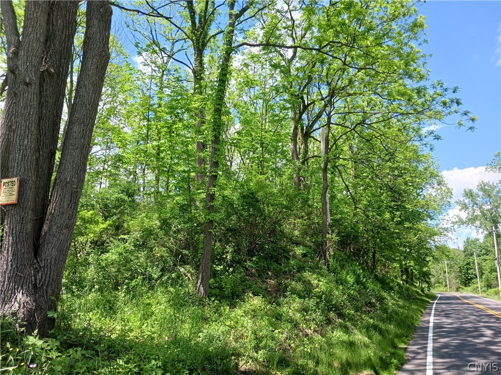 Rolling Hills Road, Camillus, New York image 1