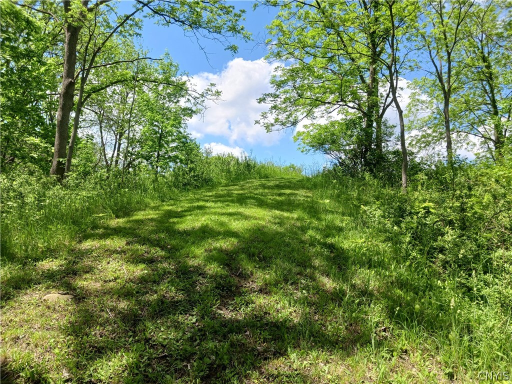 Rolling Hills Road, Camillus, New York image 4