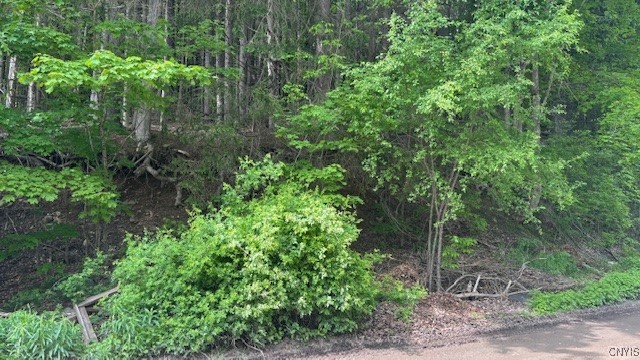 5339 Paddleford Road, Eaton, New York image 12