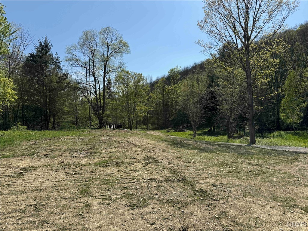 5619 County Rd 7d, Cuba, New York image 4