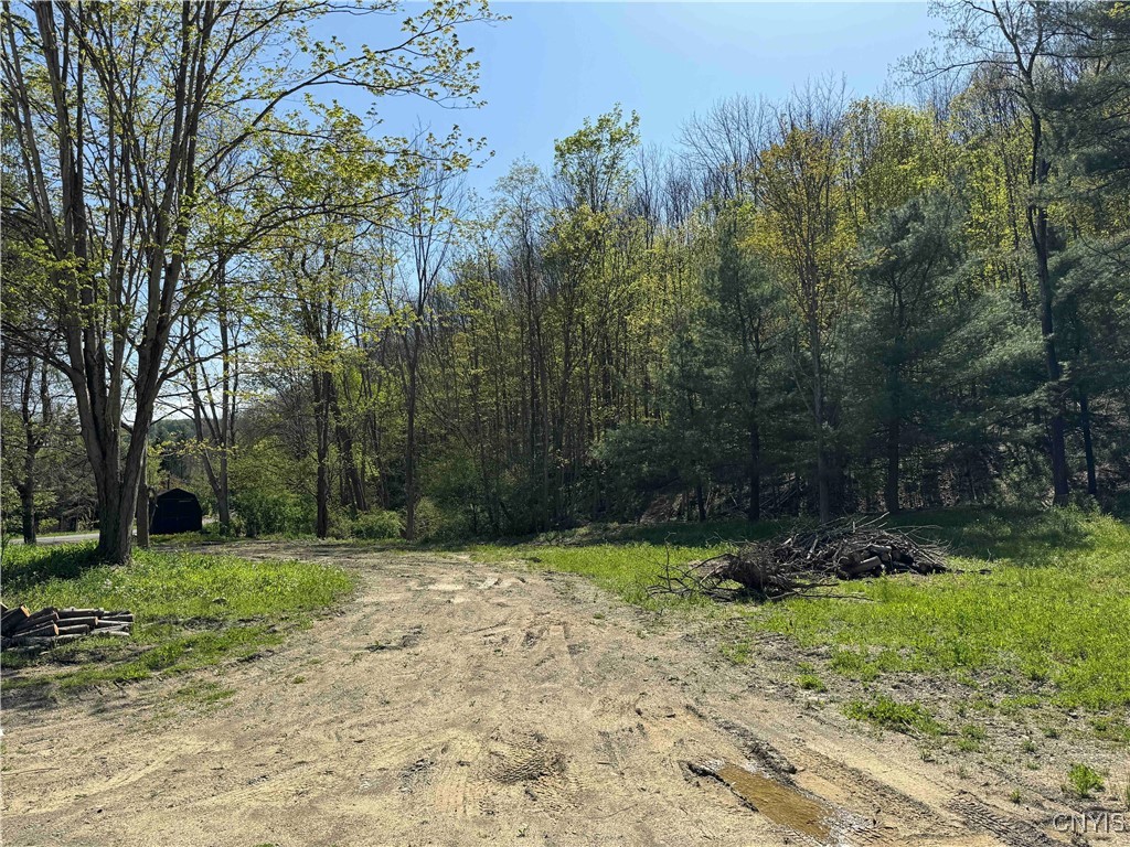 5619 County Rd 7d, Cuba, New York image 27
