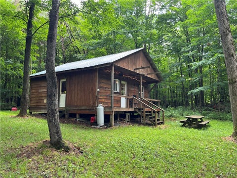 Tiny photo for 9657 Gardner Road, Pinckney, NY 13626 (MLS # S1700581)
