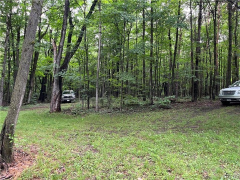 Tiny photo for 9657 Gardner Road, Pinckney, NY 13626 (MLS # S1700581)
